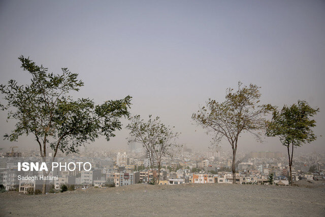 وزش باد و خیزش گردوخاک در برخی مناطق کرمان