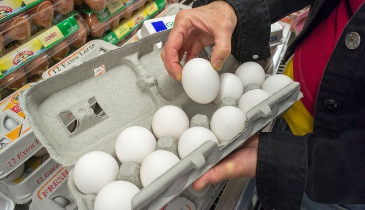 عرضۀ تخم‌مرغ فاقد نشانه‌گذاری در کرمان ممنوع است