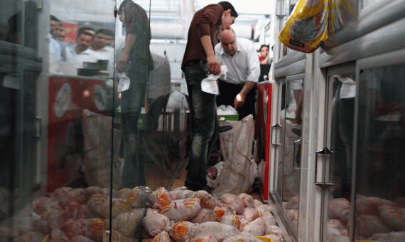 تامین مرغ بر تمکین از قیمت مصوب اولویت دارد