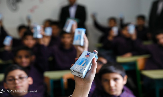 دولت برنامه‌ای برای توزیع شیر در مدرسه ندارد