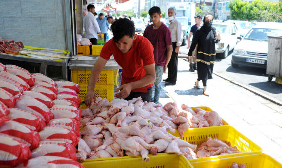 مرغ به اندازۀ کافی در بازار کرمان وجود دارد
