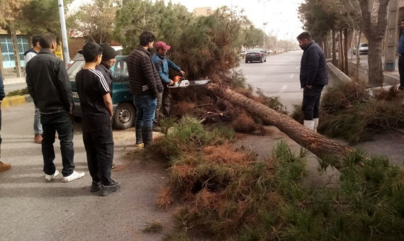 بیش‌ترین خسارت طوفان مربوط به شهر کرمان است