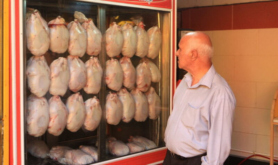  توزیع مرغ با قیمت 20400 تومان از فردا  