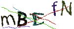 CAPTCHA ی تصویری