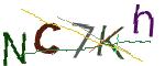 CAPTCHA ی تصویری