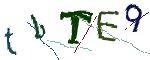 CAPTCHA ی تصویری