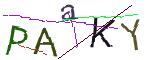 CAPTCHA ی تصویری