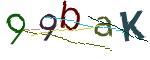 CAPTCHA ی تصویری