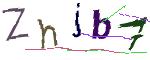 CAPTCHA ی تصویری