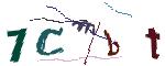 CAPTCHA ی تصویری