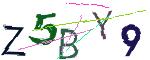 CAPTCHA ی تصویری