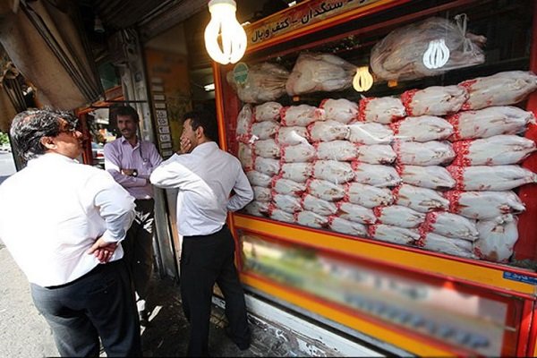 توزیع ۹۰۰ تن گوشت مرغ منجمد در استان کرمان