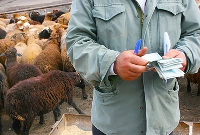 بازداشت 4 قاچاقچی گوسفند به کشورهای حاشیۀ خلیج‌فارس