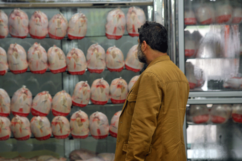 تولید مرغ در کرمان مازاد بر نیاز استان است