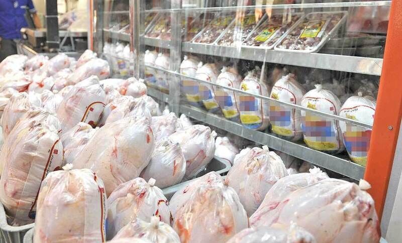   مجوز تولید  ۲۰۰ هزار قطعه مرغ گوشتی در جنوب استان صادر شد