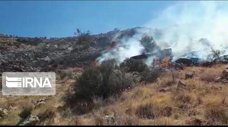 ۷ هکتار از عرصه‌های منابع‌طبیعی کوهساران راور در آتش سوخت