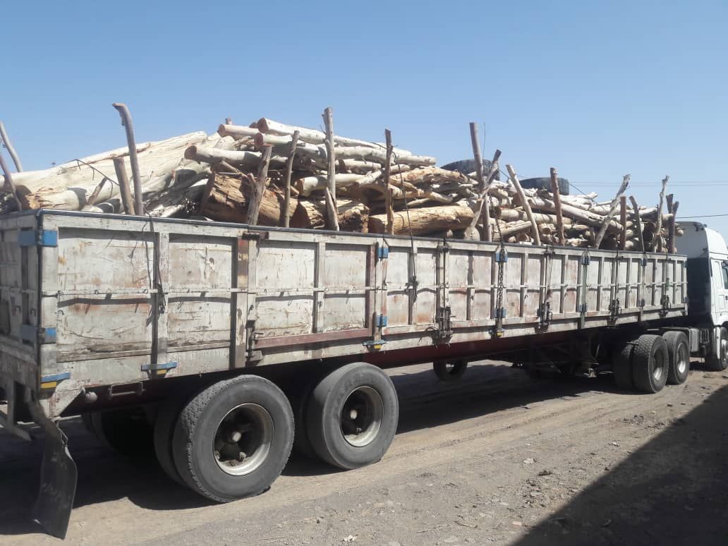 کامیون حامل چوب اکالیپتوس در نرماشیر توقیف شد