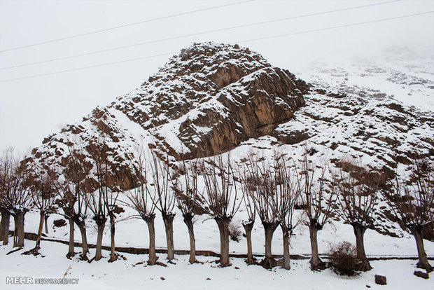 برف ۵ شهرستان کرمان را سفیدپوش کرد