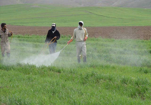  وضعیت آلودگی محصولات کشاورزی ایران نگران‌کننده است