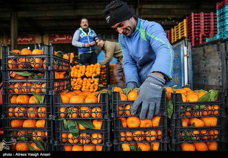 ۲۲۷۰ تن سیب و پرتقال در کرمان ذخیره‌سازی می‌شود