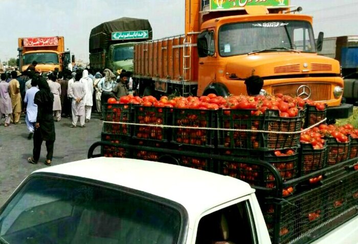  در دورۀ اوج حمل بار محصولات کشاورزی در جنوب استان هستیم  