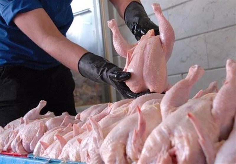 شرکت پشتیبانی مرغ‌های مازاد را خریداری می‌کند