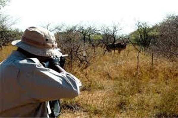  یک گروه شکارچی غیرمجاز در پارک ملی «خبر» دستگیر شد