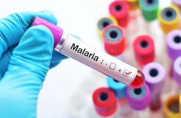 ابتلا به مالاریا در کشور افزایش یافته است