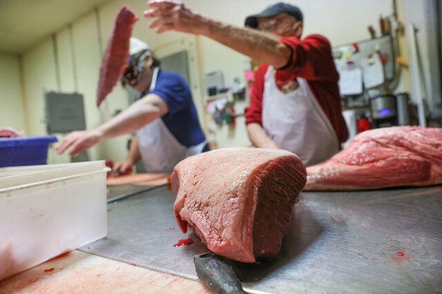 افزایش قیمت گوشت مهندسی‌شده بود