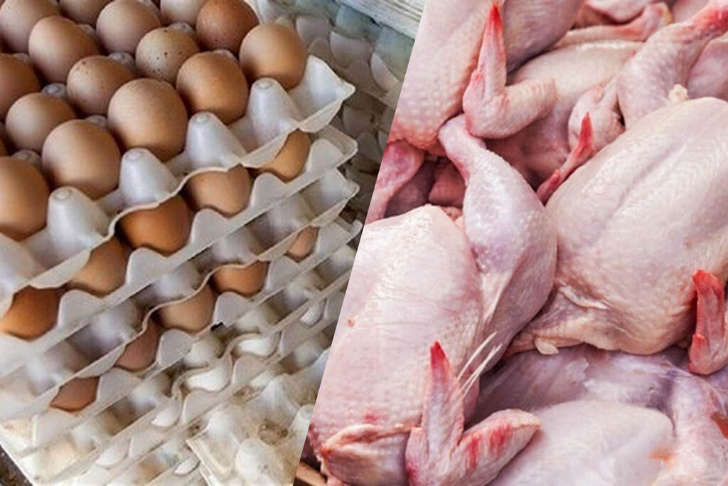 قیمت جدید مرغ و تخم‌مرغ تا پایان فروردین سال آینده تغییر نمی‌کند