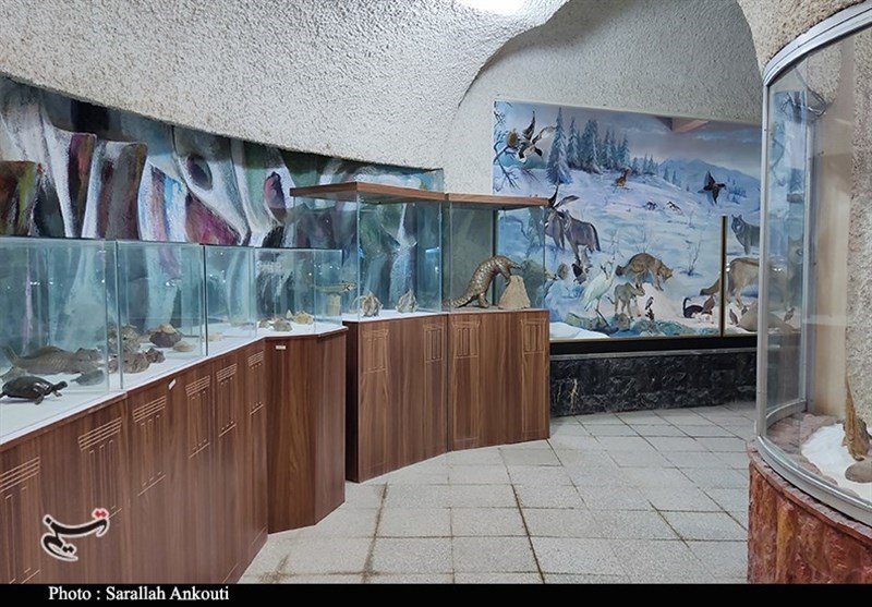 نخستین موزه دیرینه‌شناسی و حیات طبیعی کشور در کرمان افتتاح شد