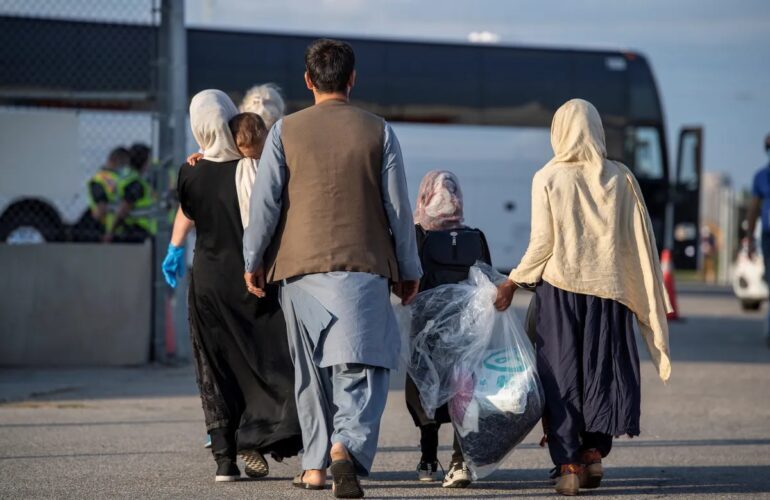 جزئیات طرح سپرده‌گذاری اتباع و مهاجرین خارجی در کرمان