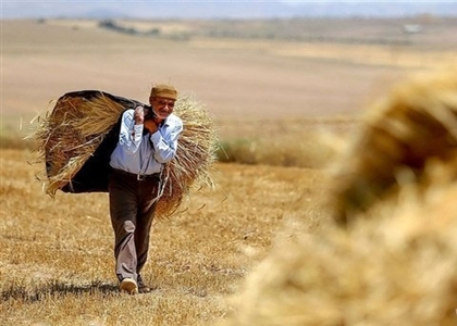 سرشماری عمومی کشاورزی در کرمان از ۱۲ آبان‌ماه‌ آغاز می‌شود