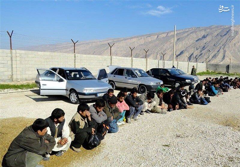 عمدۀ فعالان شبکۀ غیرمجاز حمل اتباع بیگانه جوانان دارای تحصیلات دانشگاهی هستند