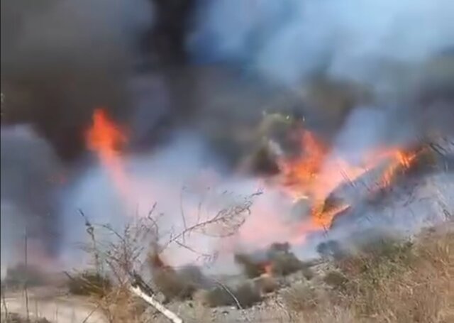 باغ‌های میوه روستای کنگری در آتش سوختند