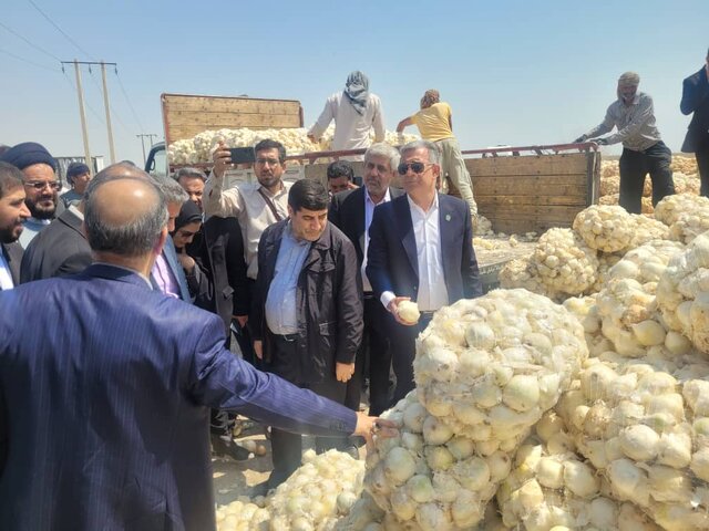 وضع بد دپو و بازار آشفتۀ پیاز جیرفت