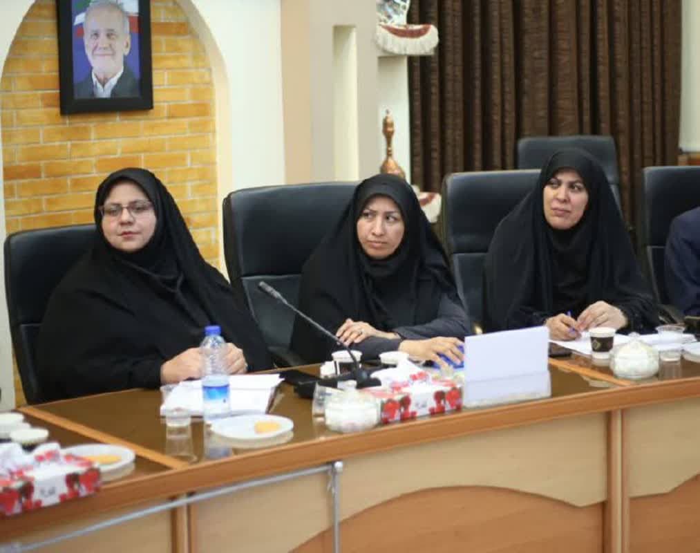 مدیرکل امور بانوان خواستار تشکیل کمیته پایش قانون جوانی جمعیت شد