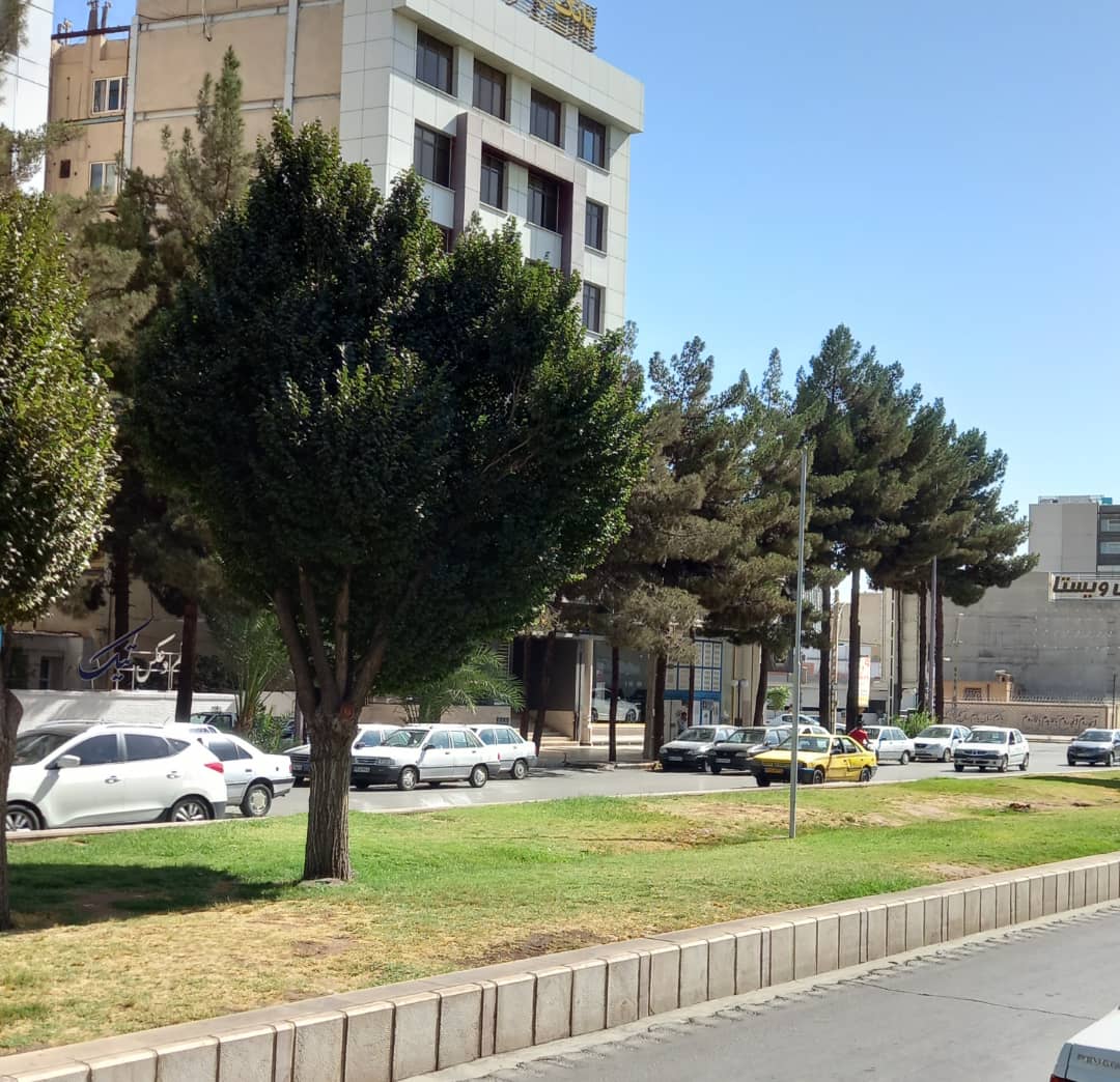 اختصاص ۶۵ لیتر فاضلاب خام به فضای سبز کرمان قطعی شد