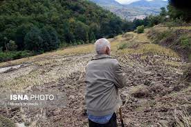  خسارت بی‌سابقۀ تغییر اقلیم به کشاورزی جنوب کرمان