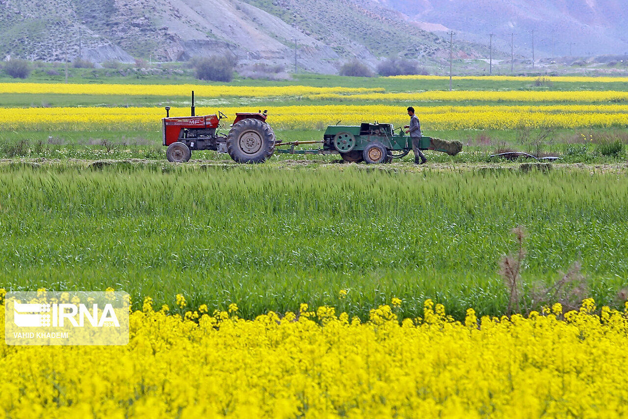 تدوین بسته‌های تشویقی برای کشاورزانی که الگوی کشت را رعایت می‌کنند