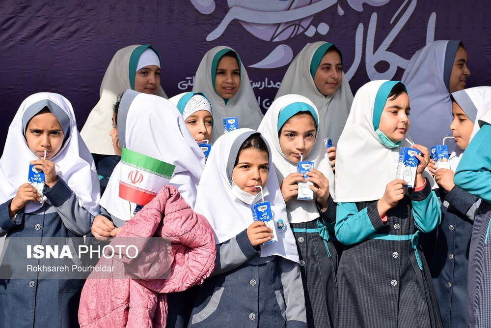 شیر تنها در مدارس 4 استان توزیع شده است  