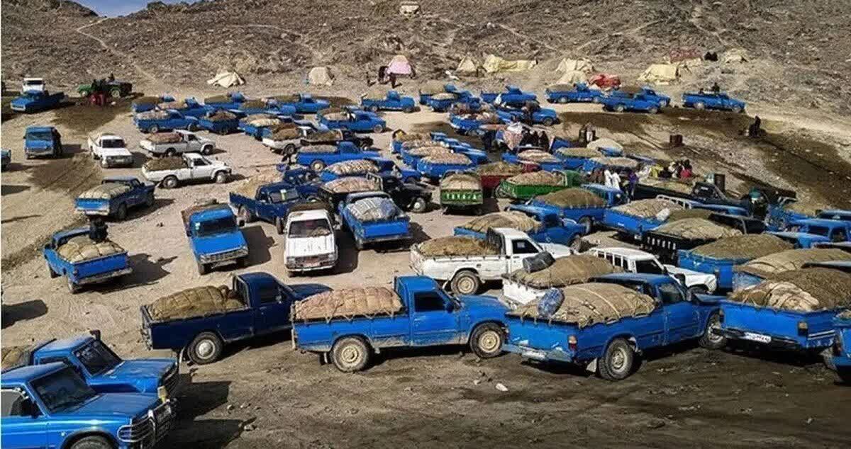 بررسی معضل قاچاق سوخت در جنوب کرمان