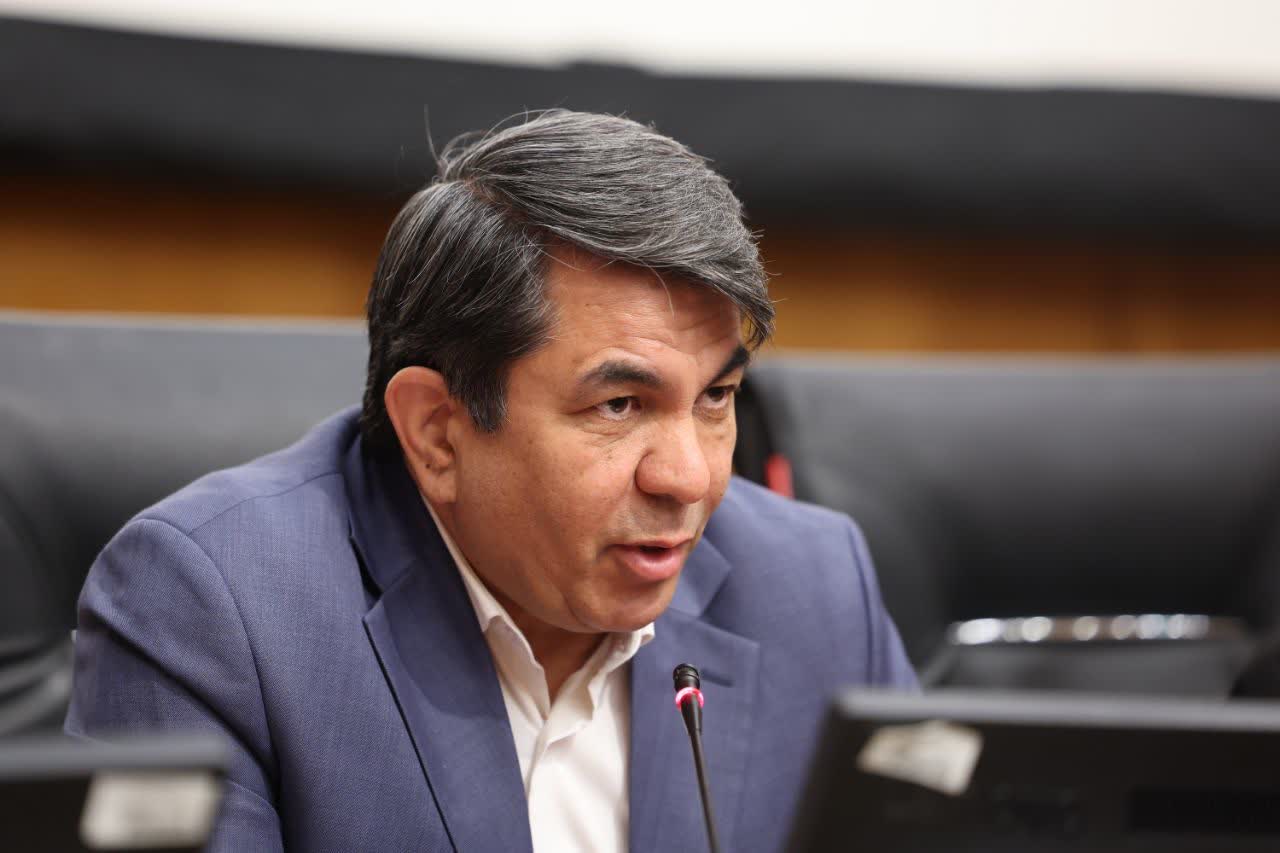 دولت با اصلاح تقسیمات شهرستان کرمان موافقت کند