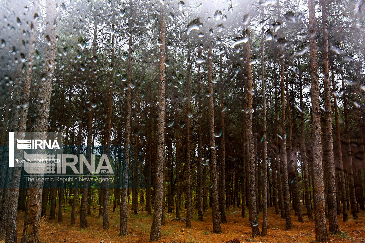 پیش‌بینی طوفان و تگرگ در بیش‌تر مناطق کرمان