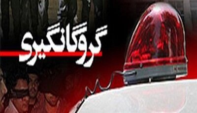 آزادی گروگان نوجوان در جیرفت پس از ۳ ماه