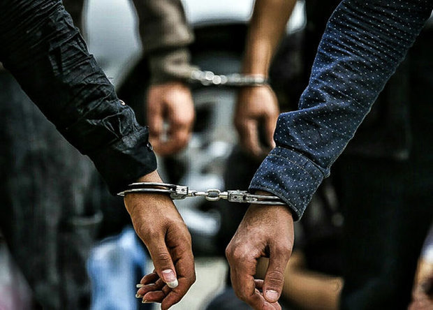 دستگیری پنج سارق پسته در سیرجان