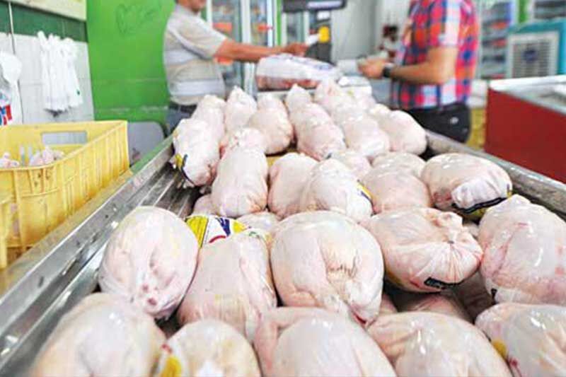 خرید حمایتی 500 تن مرغ مازاد در کرمان