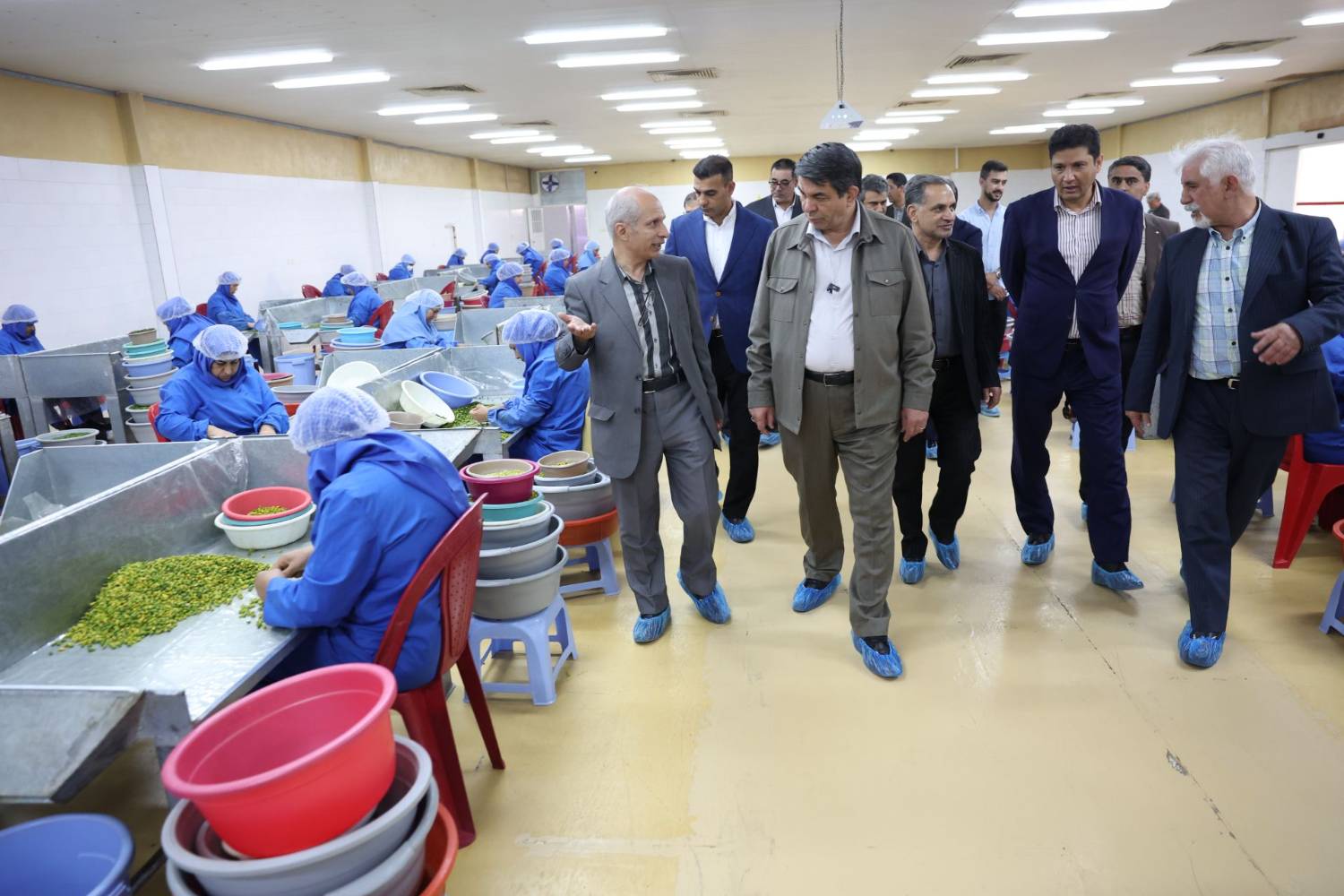 بازدید