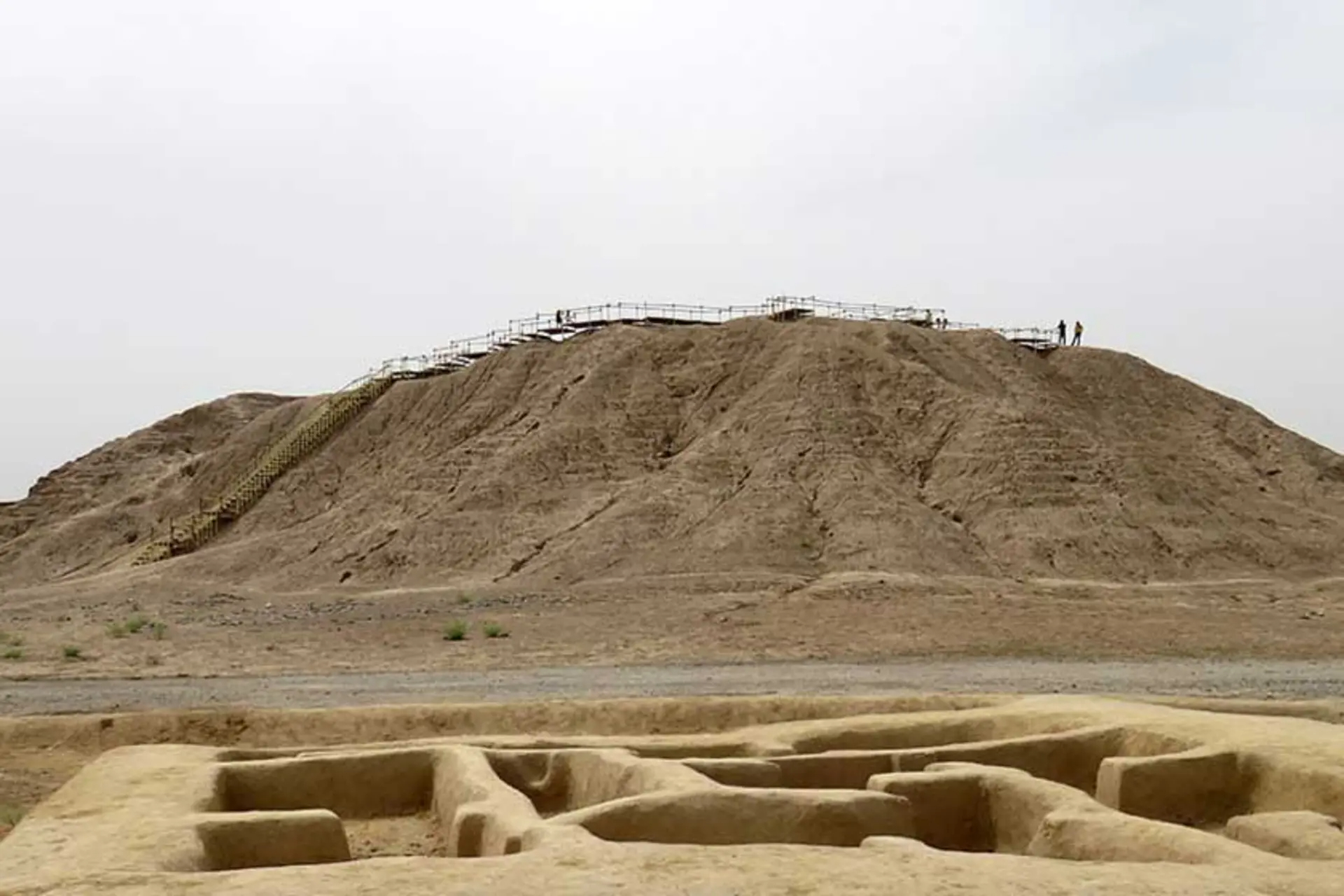کنار صندل