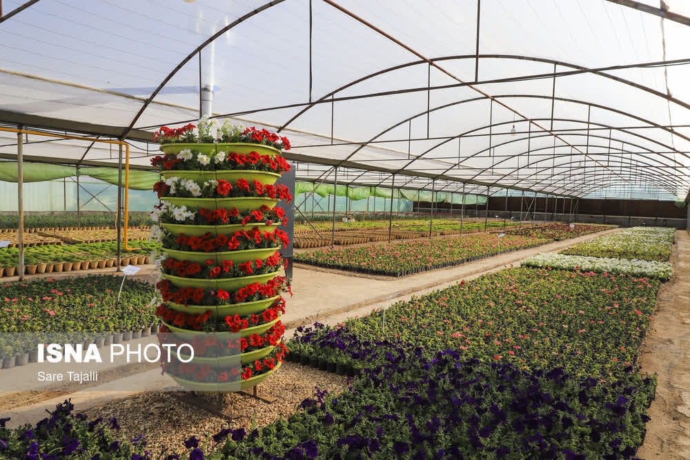 افتتاح گلخانه